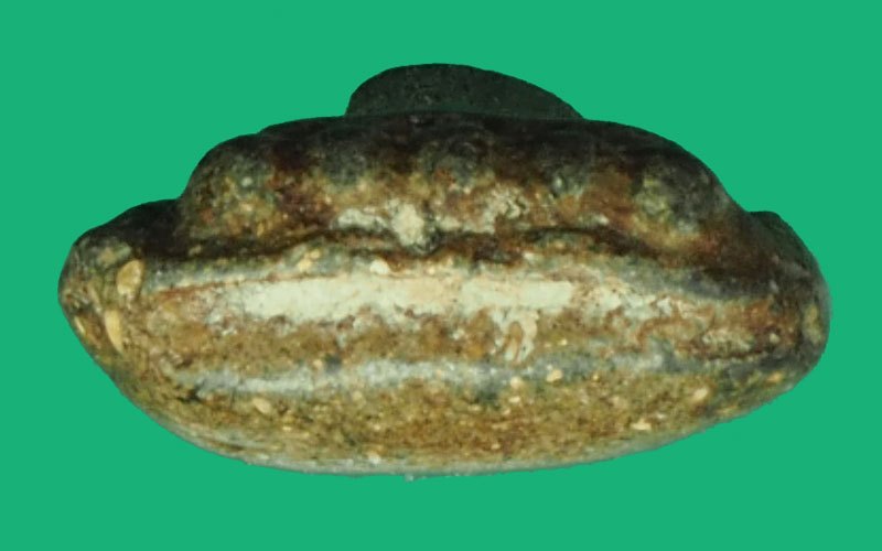 *40435 พระลึกลับกินตับทั่วไทย พระกลีบบัว เนื้อผงผสมว่าน เก่ายุค ปี 24XX ไม่ทราบที่และปีสร้าง 9