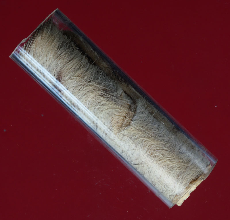 *28382 หนังสือ ไม่ทราบอาจารย์ 12