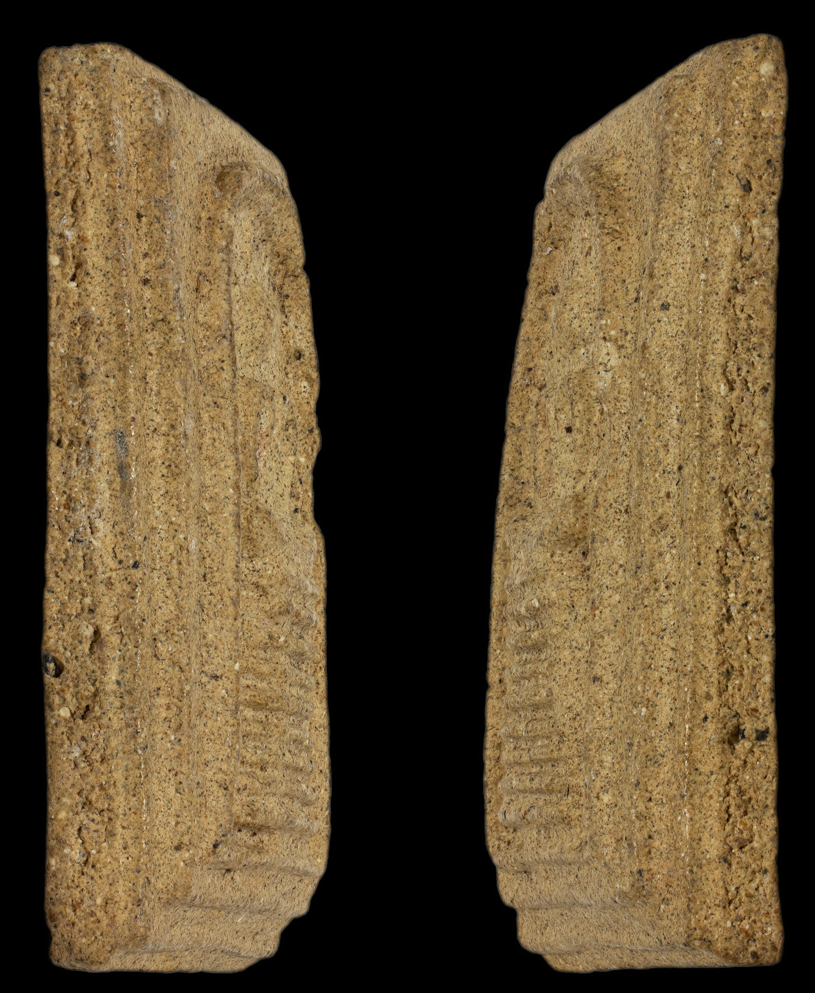 พระสมเด็จหลวงพ่อกวย พิมพ์เกศไชโย 9 ชั้น เนื้อผงน้ำมันผสมทรายเสก วัดโฆษิตาราม ปี 2515