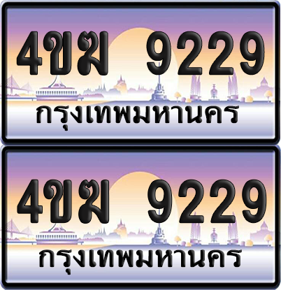 ทะเบียน 9229 ป้ายประมูล 4ขฆ 9229 (4)