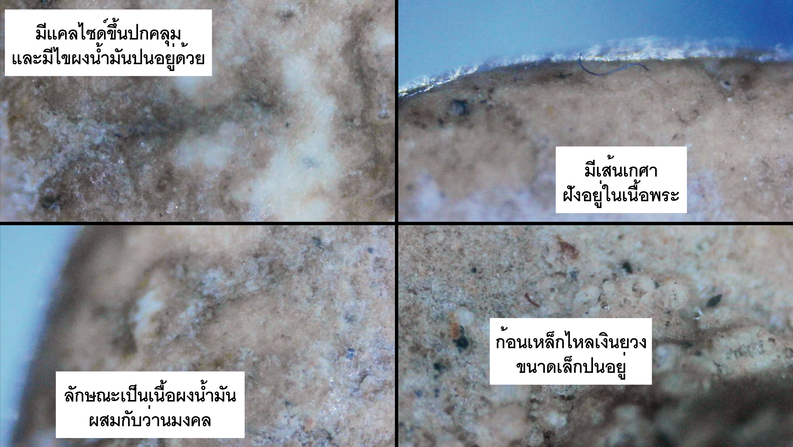 พระปิดตาพิมพ์จั๊กจั่น กรุวัดอัมพวา