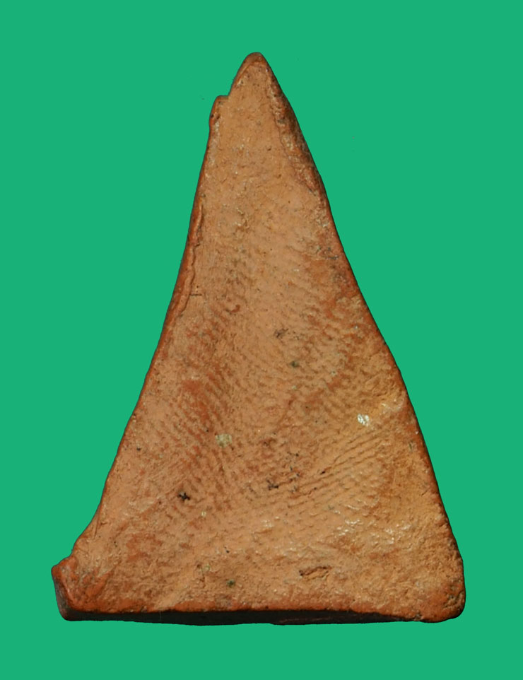 คิวจอง*35070 นางพญาหูบายศรี กรุบึงสามพัน อุตรดิตถ์ เนื้อดิน 13