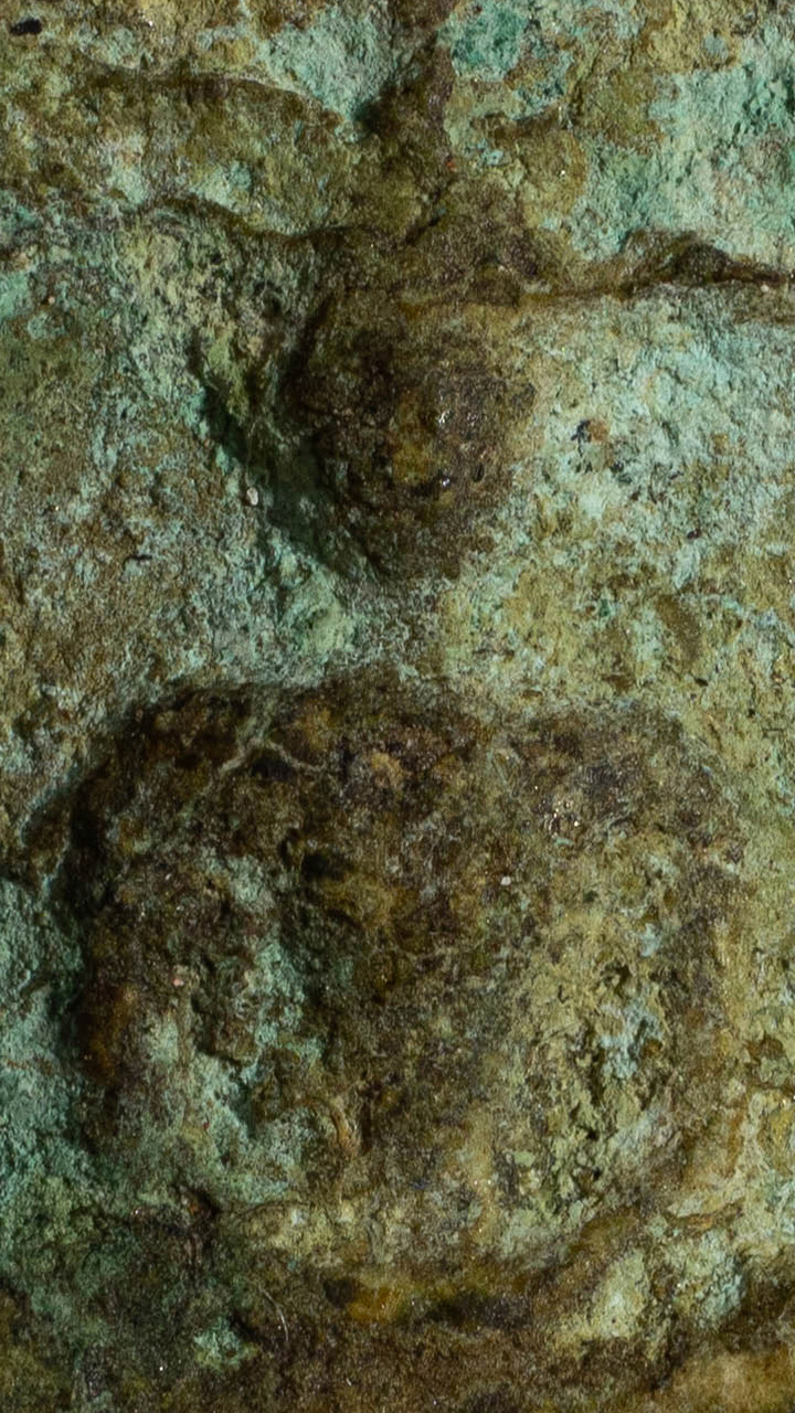 พระสมเด็จผงพรายกุมาร หลวงปู่ทิม วัดละหารไร่ พิมพ์เล็ก ยุคต้น