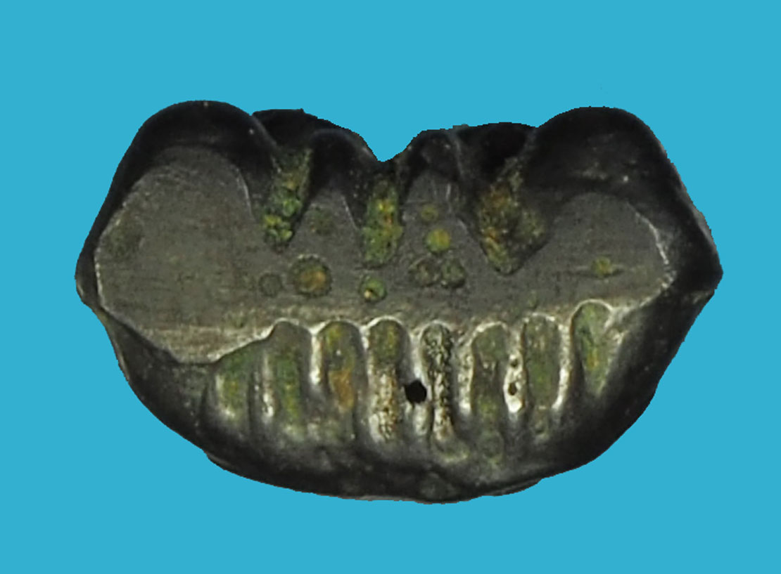 *35772 พระปิดตา หลังยันต์ เนื้อเมฆพัด หลวงพ่อเดิม วัดหนองโพ จ.นครสวรรค์ 40