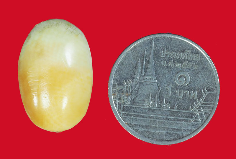 *33872 เม็ดงาเก่า เหมาะสำหรับใช้ทำหัวเเหวน 17