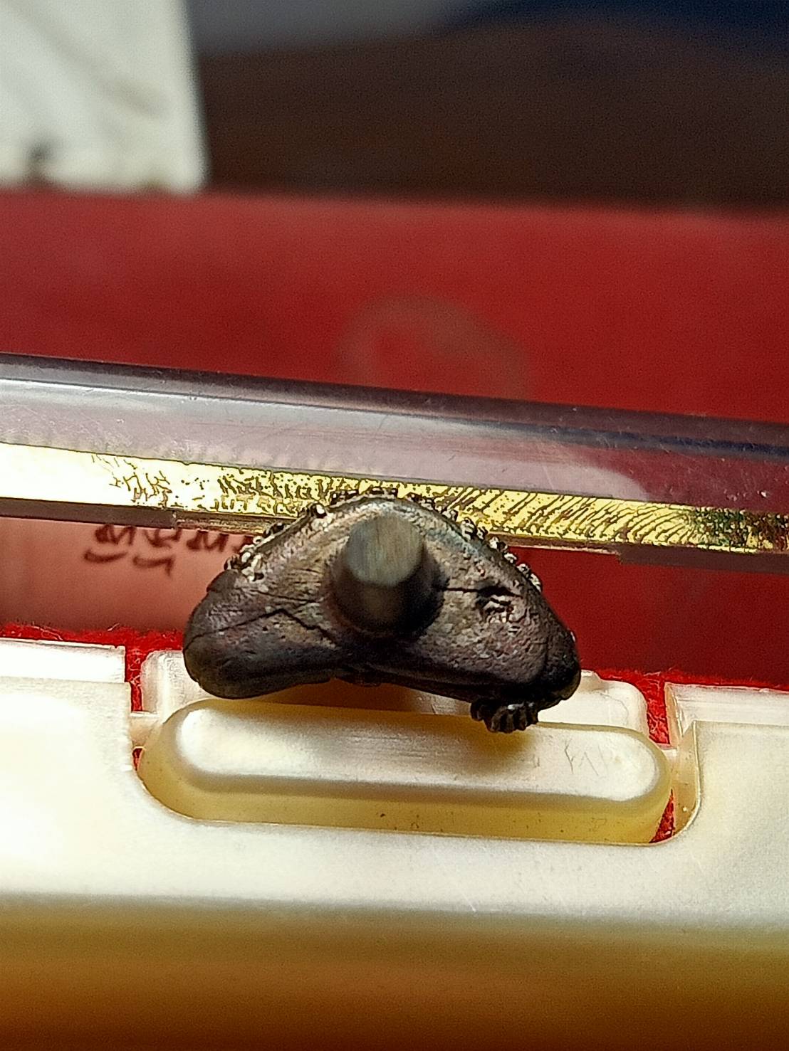 พระยอดธงหลวงพ่อคูณ รุ่นคูณมหากุศล วัดบ้านไร่ จ.นครราชสีมา ออกวัดพระศรีรัตนศาสดาราม พร้อมกล่อง (SKU-12927)