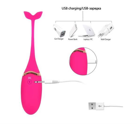 ปลาวาฬ 🐳