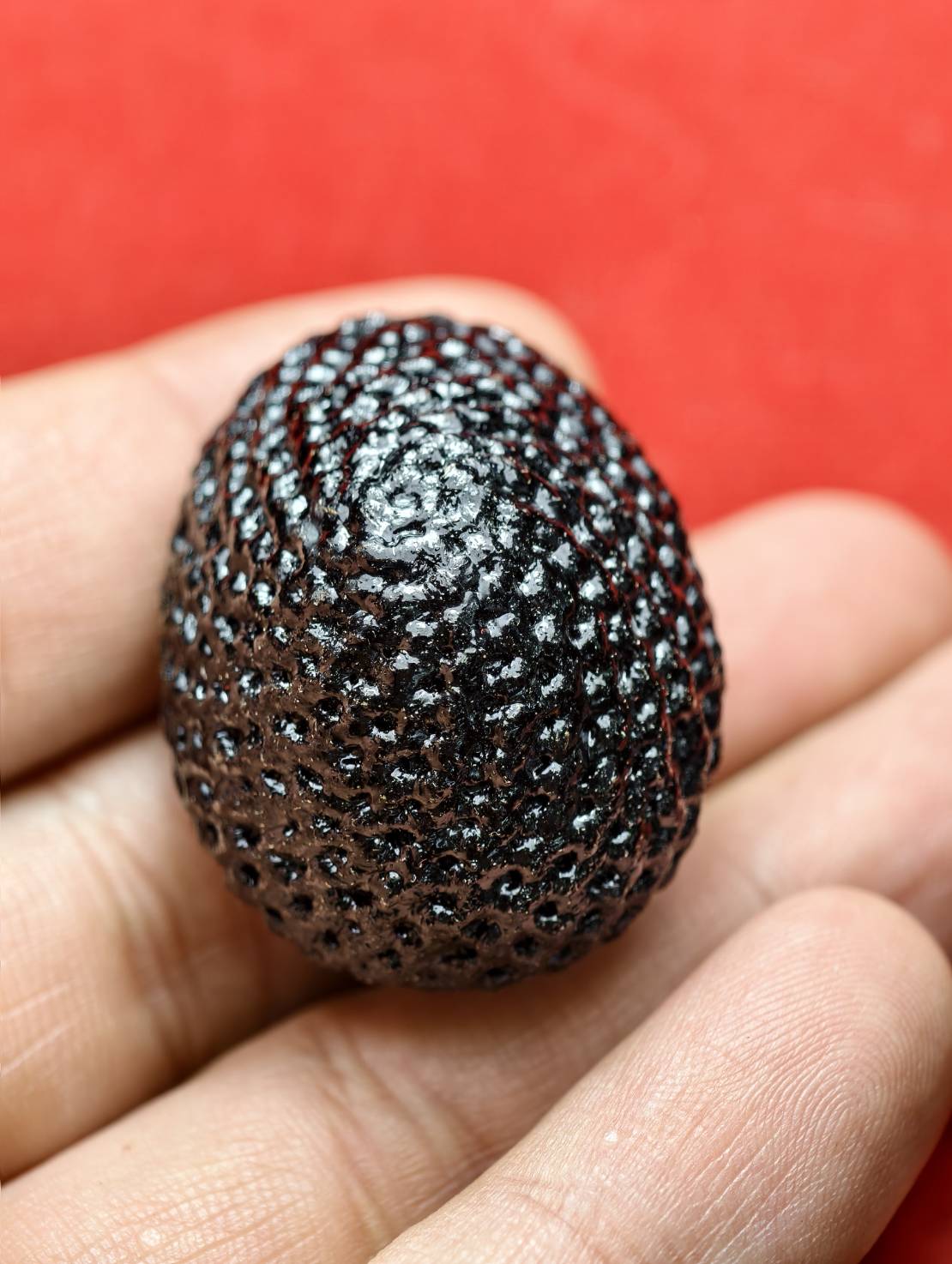 เบี้ยแก้หลวงปูู่เจือ วัดกลางบางแก้ว จ.นครปฐม พร้อมใบคาถา (SKU-13645)