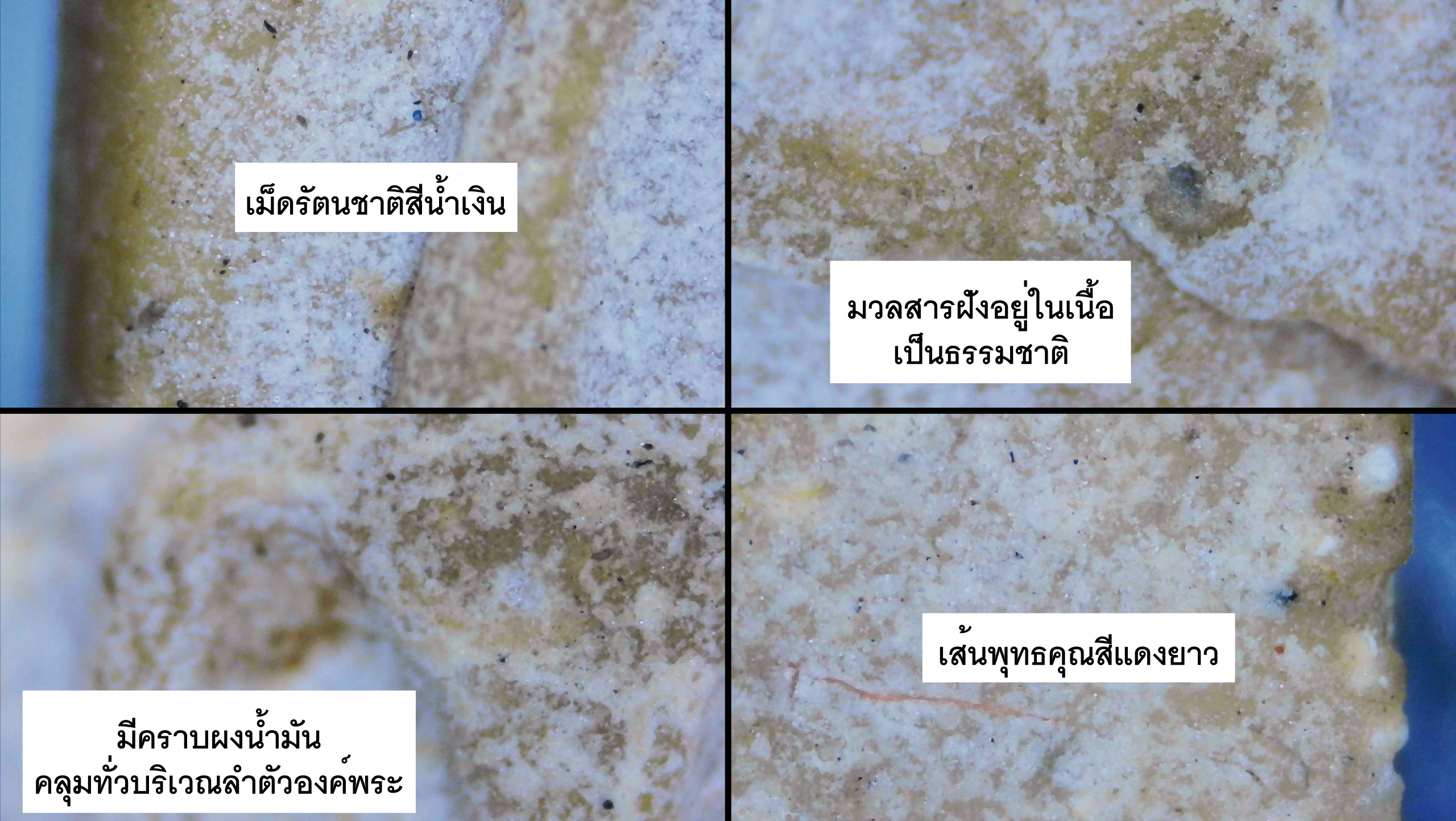 พระสมเด็จหลวงพ่อกวย พิมพ์คะแนนหูบายศรี เนื้อผงน้ำมัน วัดโฆสิตาราม ช่วงปี 2500