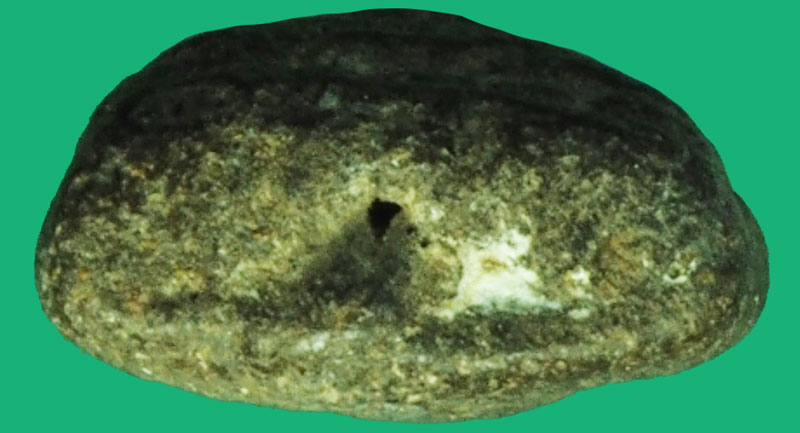 *37341 พระหลวงพ่อปู่ทวด เนื้อผงผสมว่าน เก่าไม่ทราบที่และปีสร้าง 11