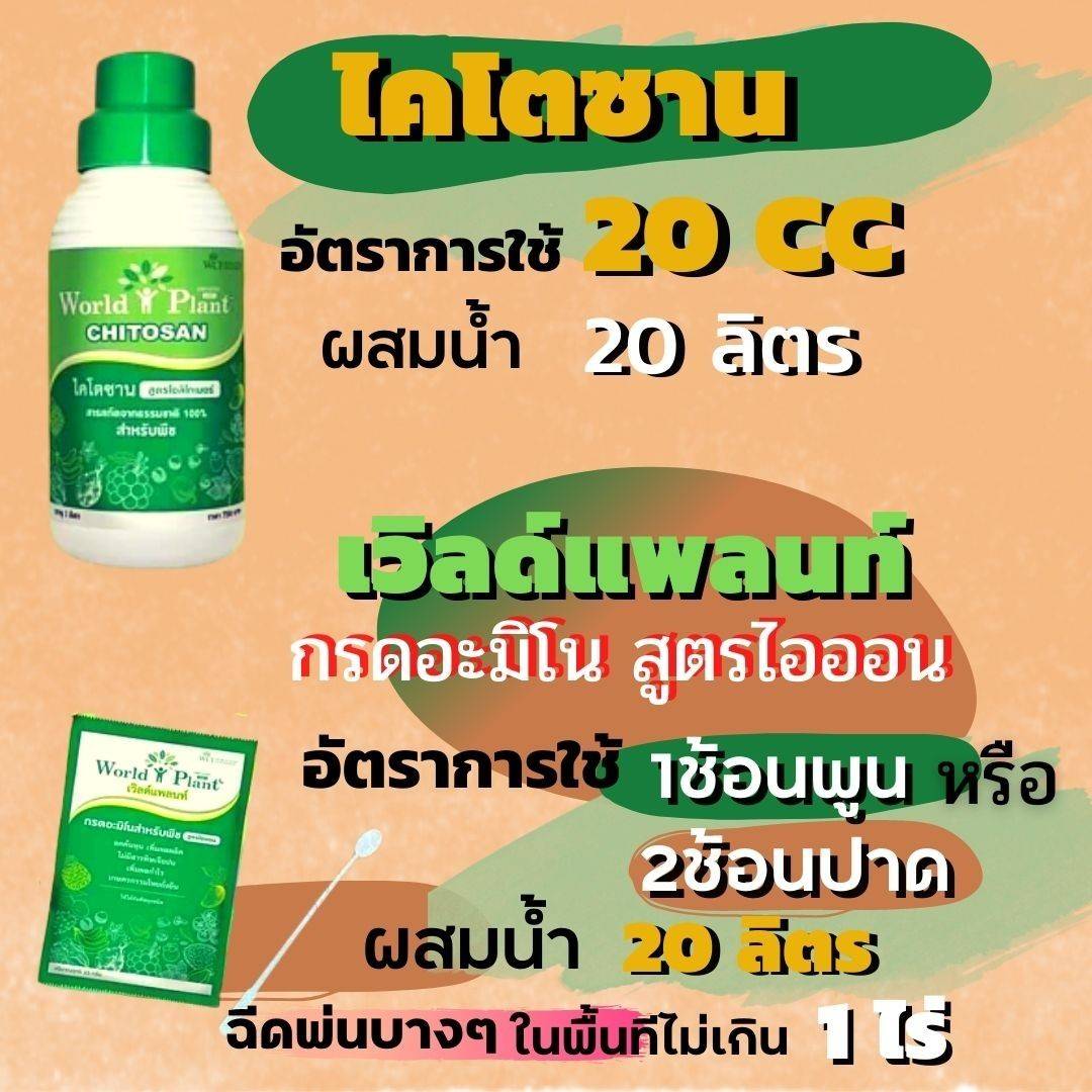วิธีการใช้ เวิลด์แพลนท์