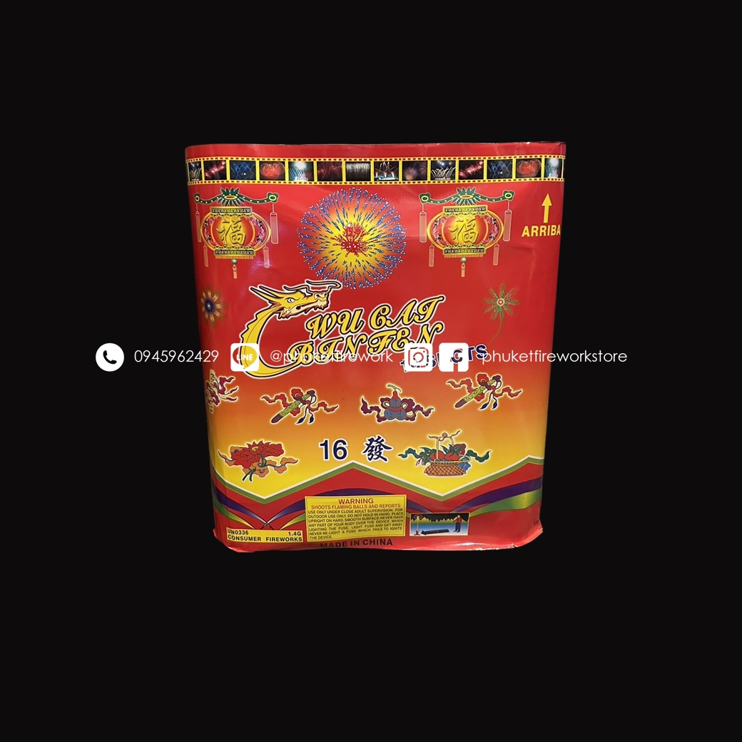Fireworks 4 inch 16 shot **Big**