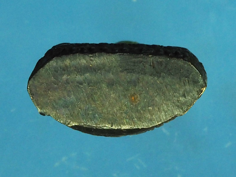 *28873 พระพุทธทศพลญาณ วัดไตรมิตร ปี 250X กรุงเทพ 7