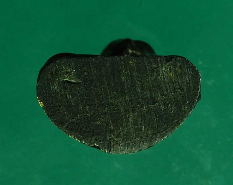 *30104 พระสมเด็จพุฒจารย์โต หลังยันต์ หลวงปู่นาค วัดระฆังโฆษิตราราม กรุงเทพ ปี 2495 กริ่งดัง 13