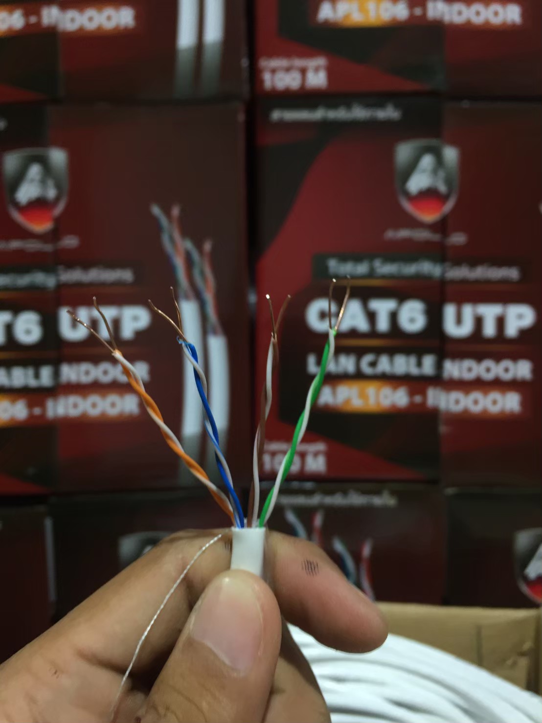 Apollo สายLAN CAT6 UTP รุ่น APL106-INDOOR 100M.