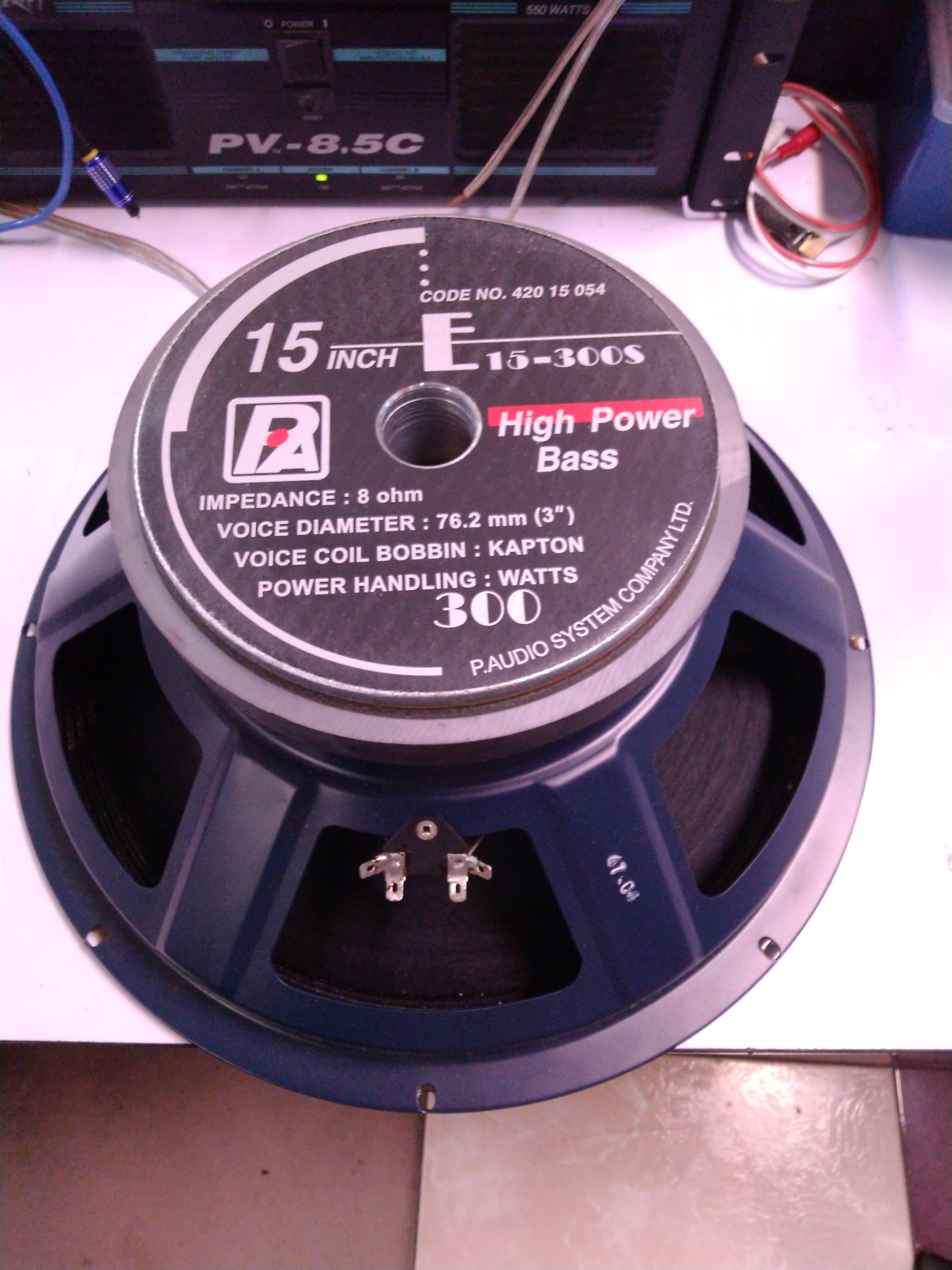 P.AUDIO E 15-300 S โครงปั้ม
