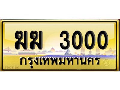 ทะเบียน 3000 ป้ายประมูล ฆฆ 3000 ผลรวมดี 9 ป้าย VIP (5)
