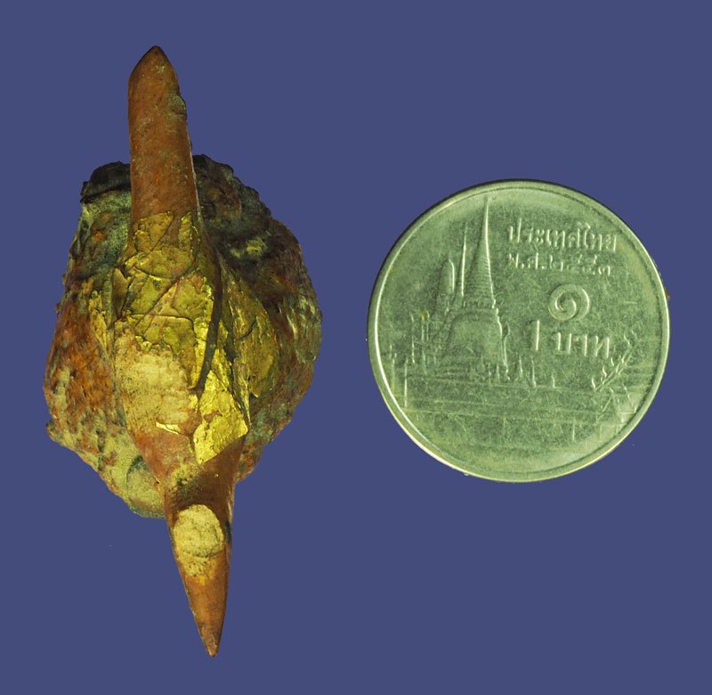 *40475 ไม้กาฝากรัก เก่าพอมีอายุ ไม่ทราบที่และปีสร้าง 12