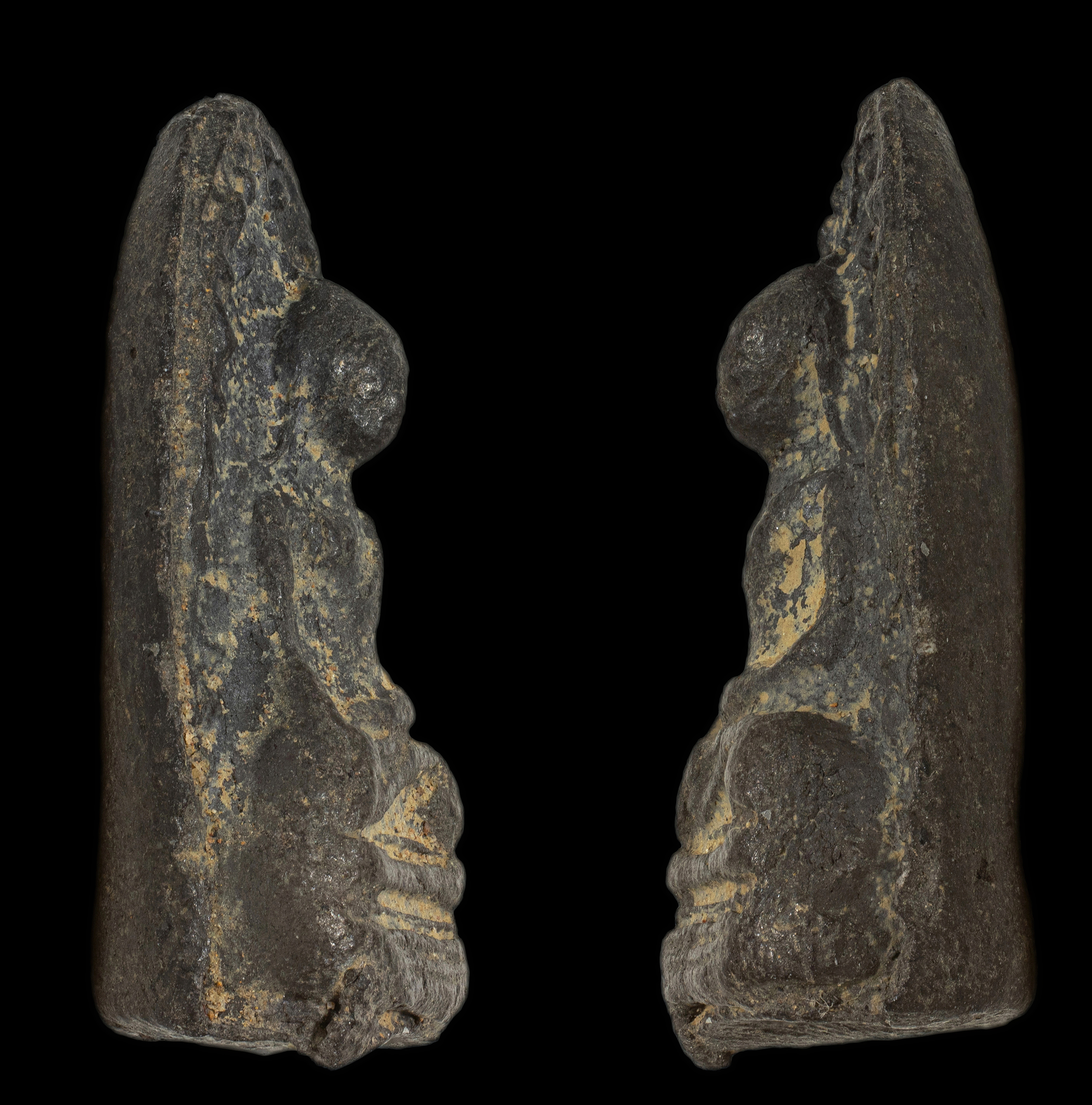 พระรอด หลวงพ่อทาบ วัดกระบกขึ้นผึ้ง ระยอง เนื้อผงใบลาน ปี 2505 หลวงปู่ทิมร่วมปลุกเสก