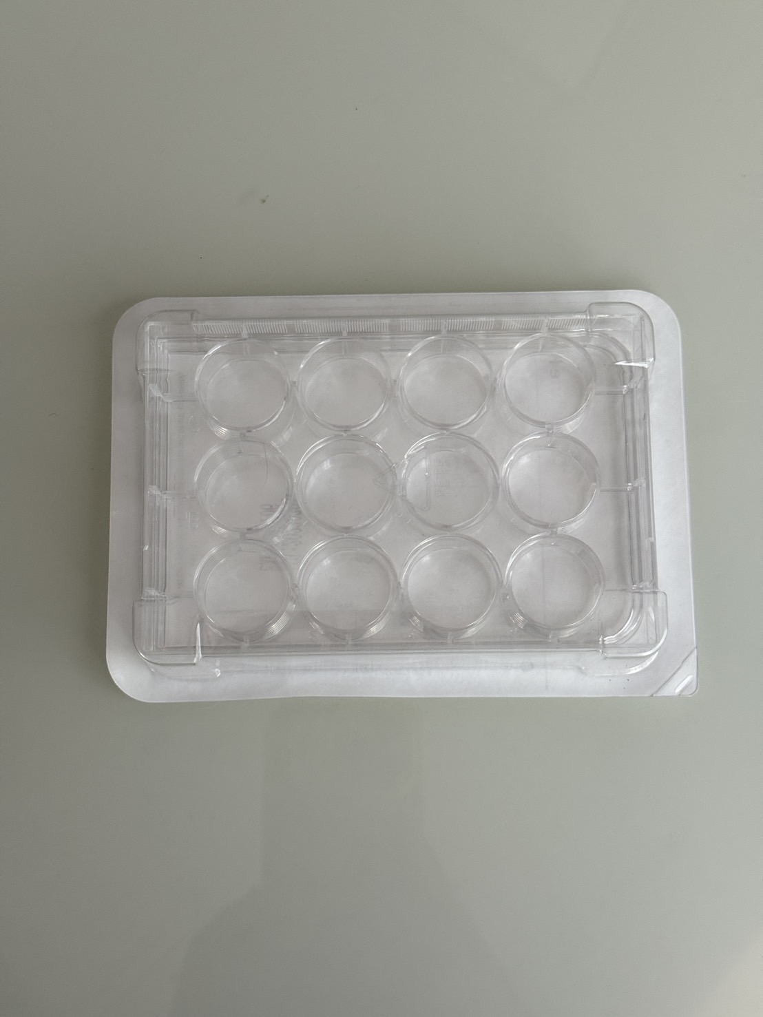 จานสำหรับเพาะเลี้ยง แบบพลาสติก พร้อมฝาปิด แบบ 12 หลุม , 12-well Flat Bottom Sterile
