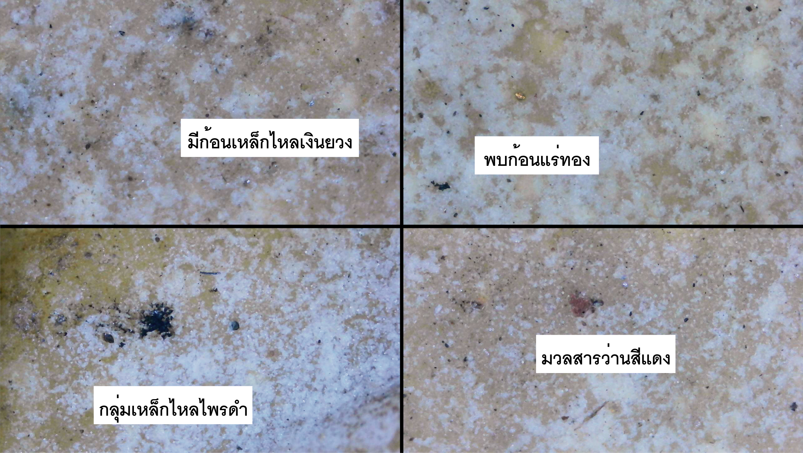 พระสมเด็จหลวงพ่อกวย พิมพ์คะแนนหูบายศรี เนื้อผงน้ำมัน วัดโฆสิตาราม ช่วงปี 2500