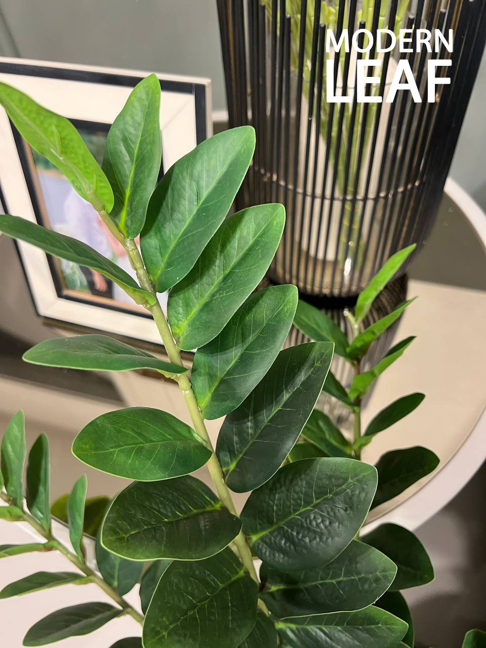 ต้นกวักมรกตปลอม ขนาดความสูง 1 เมตร