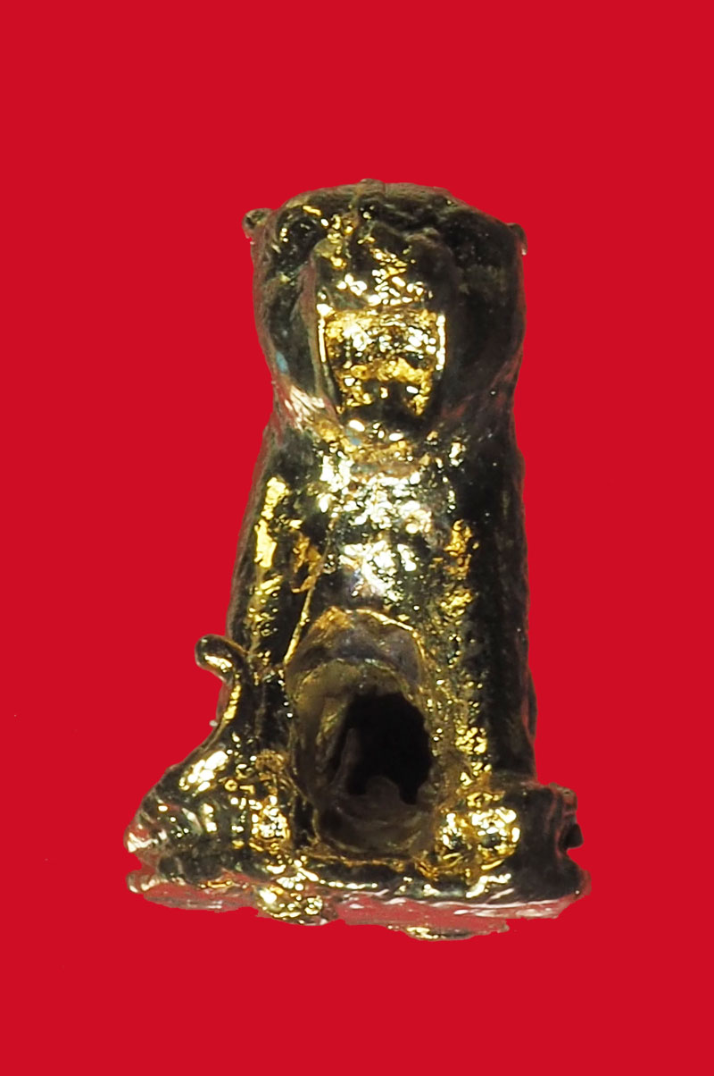 *32085 เสือตะกั่ว ชุบทอง ไม่ทราบที่และปีสร้าง 12