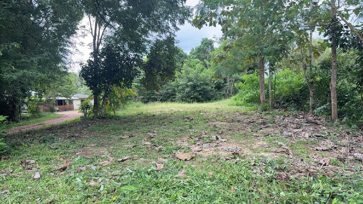 ขายที่ดิน สนามชัยเขต 150 ตรว | เจ้าของขายเอง ถมแล้ว ติดถนน