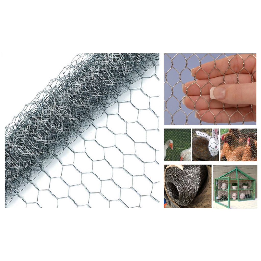 ตาข่ายลวดหกเหลี่ยม ป้ายเหลือง #21*3/4ตาข่ายกรงไก่ หนา แข็งแรง ทนทาน กันนก กรงไก่ รั้วกั้น กรงสัตว์ กรงสุนัข ลวดตาข่ายถัก