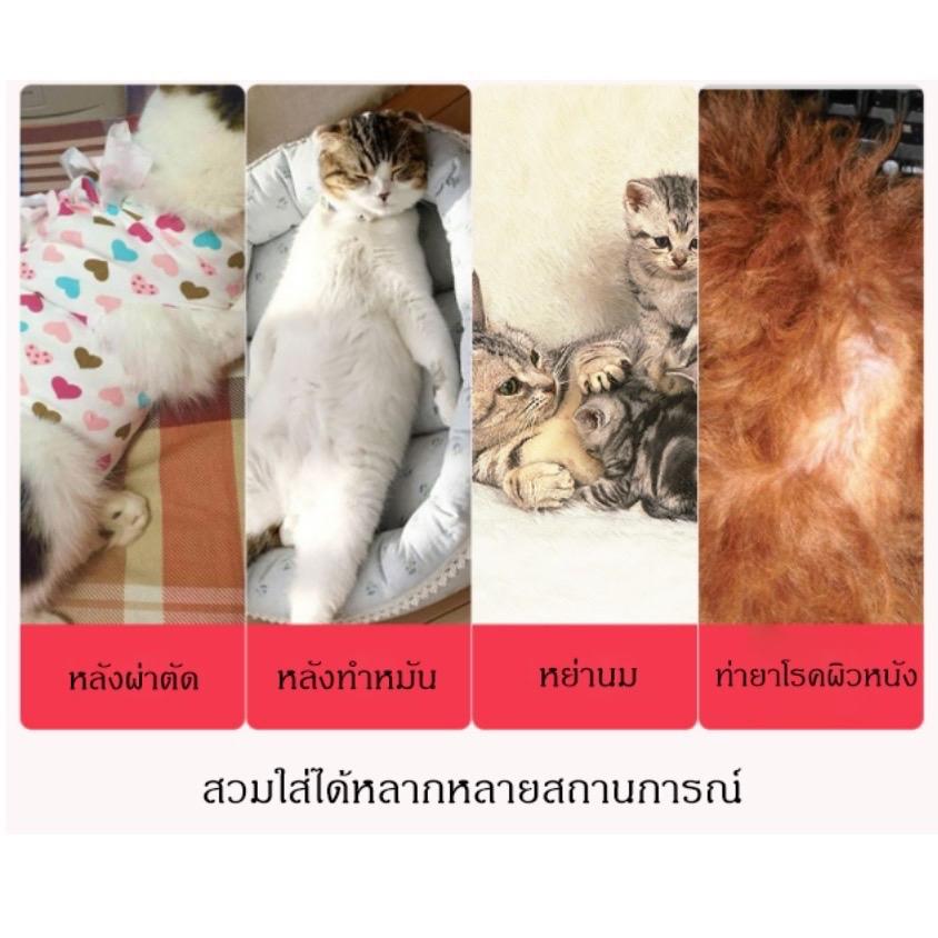 ชุดกันเลียแผล ชุดกันเลีย สำหรับสัตว์เลี้ยง ชุดหลังผ่าตัด เสื้อแมว เสื้อสุนัข