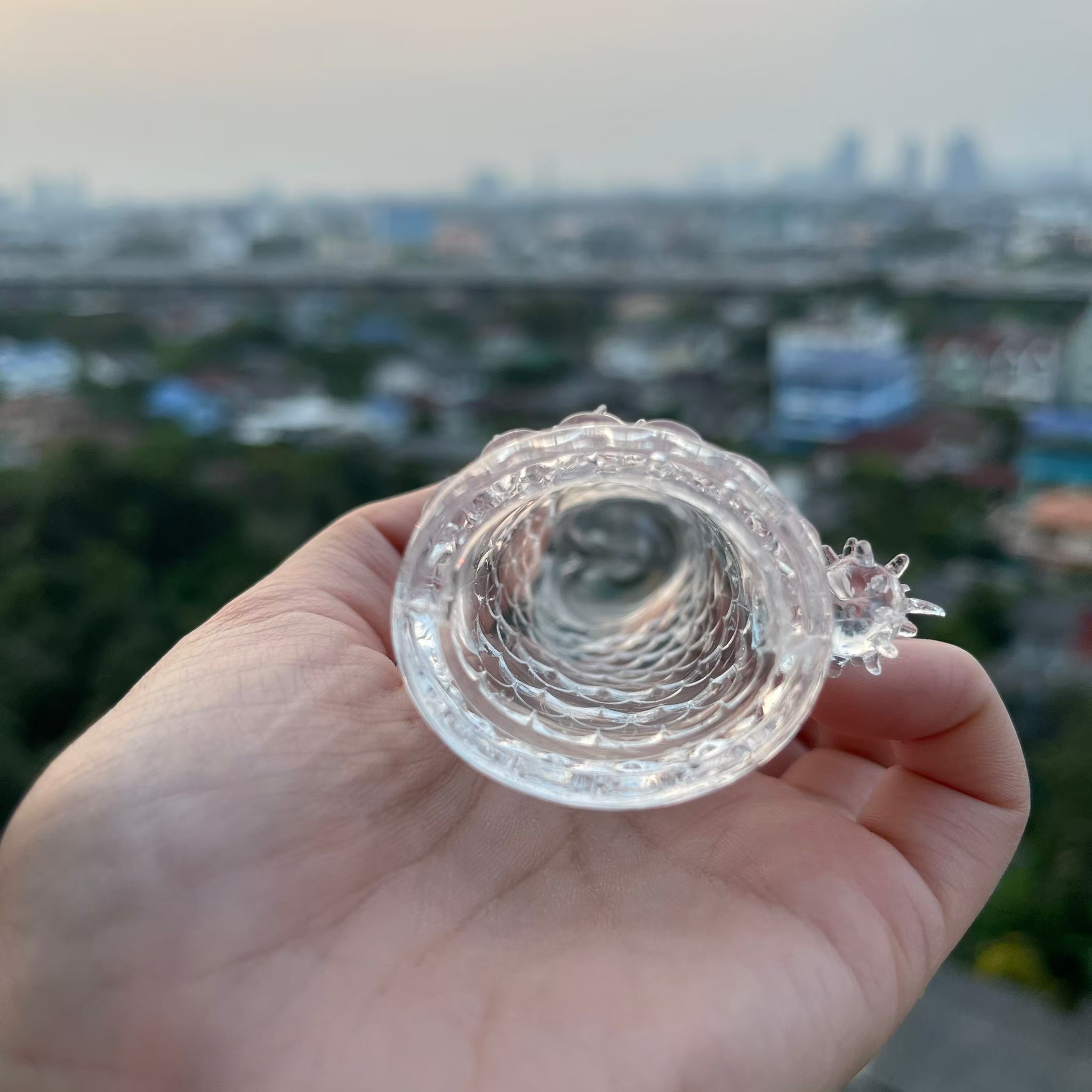 ปลอกเกร็ดมังกร