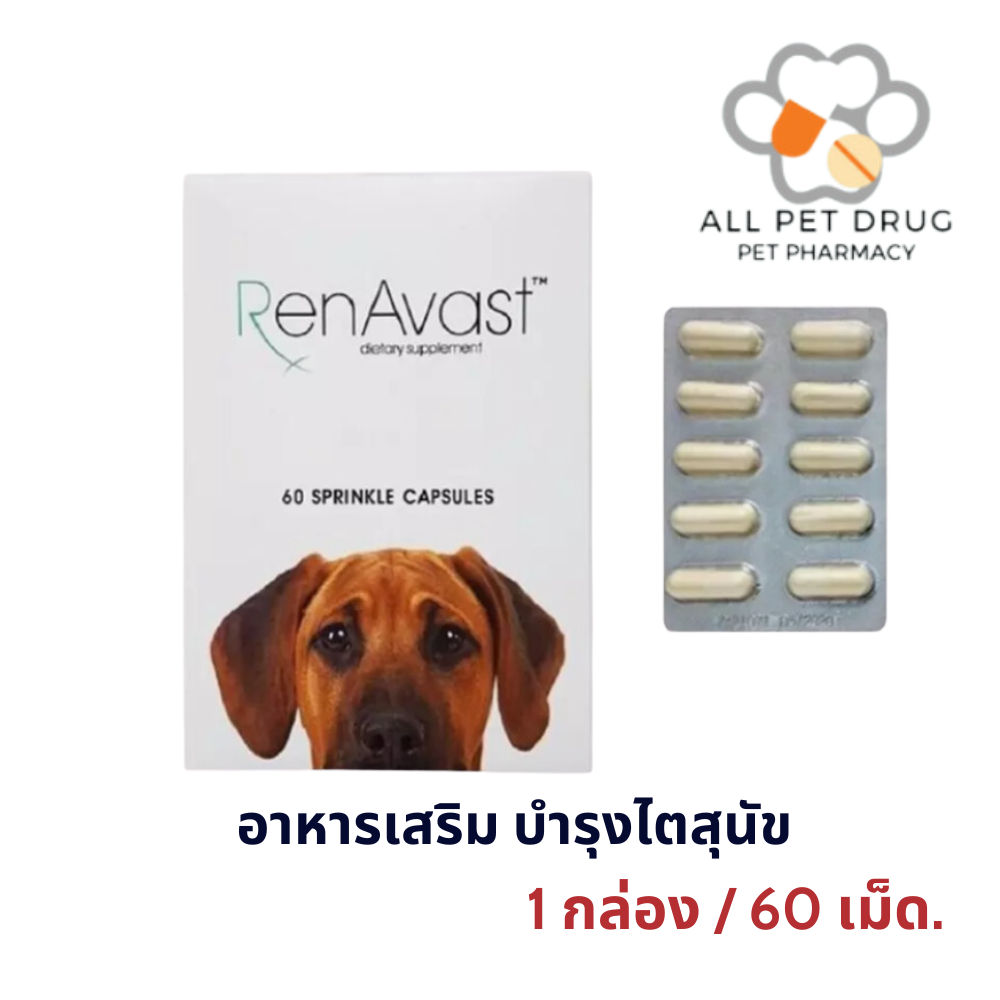 Renavast dog (1 กล่อง/ 60 เม็ด ) อาหารเสริม บำรุงไต สำหรับสุนัข