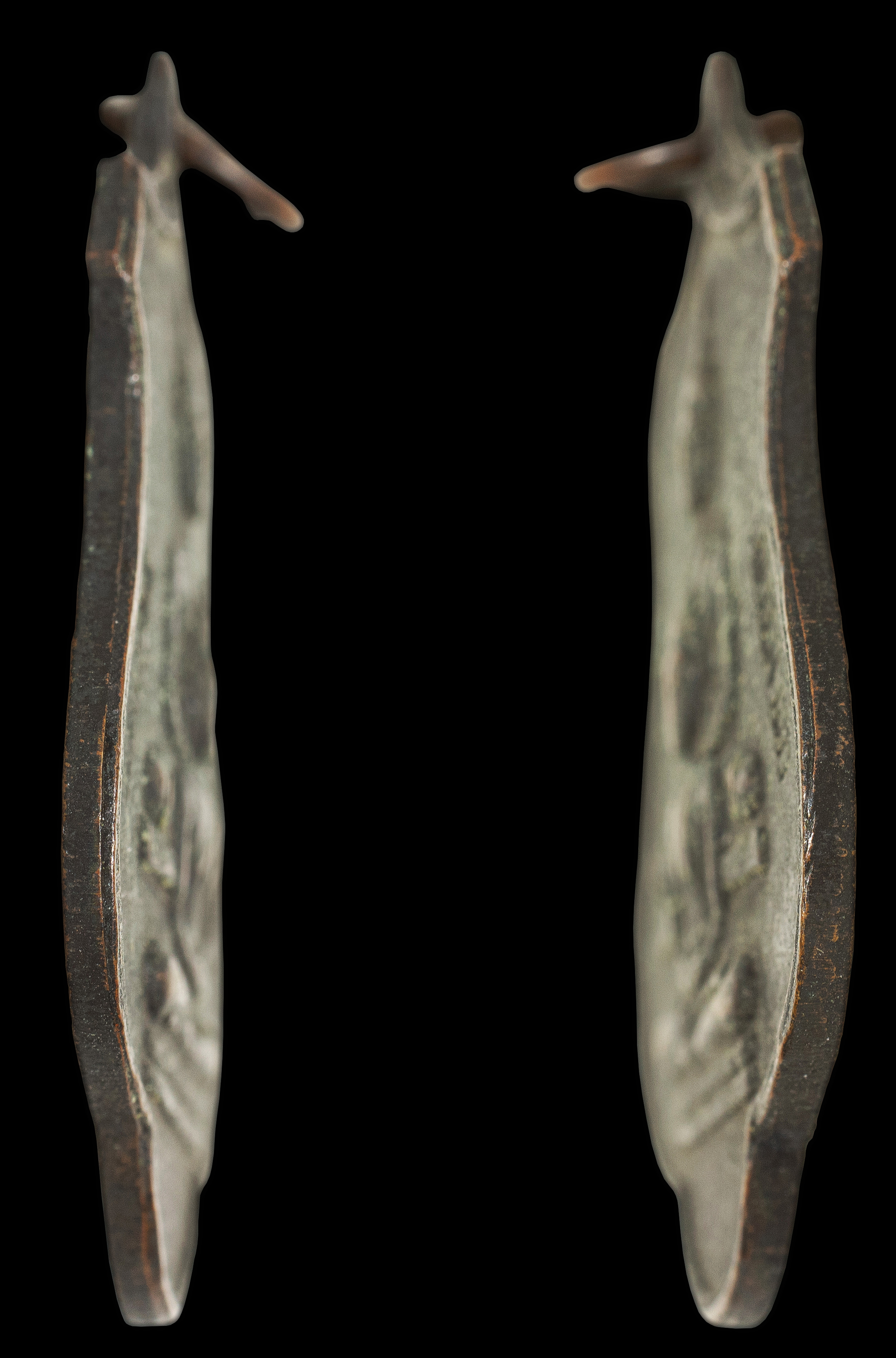 เหรียญพุทธซ้อน หลวงพ่อรอด วัดศรีจุฬา นครนายก 2 โค้ท ปี 2515