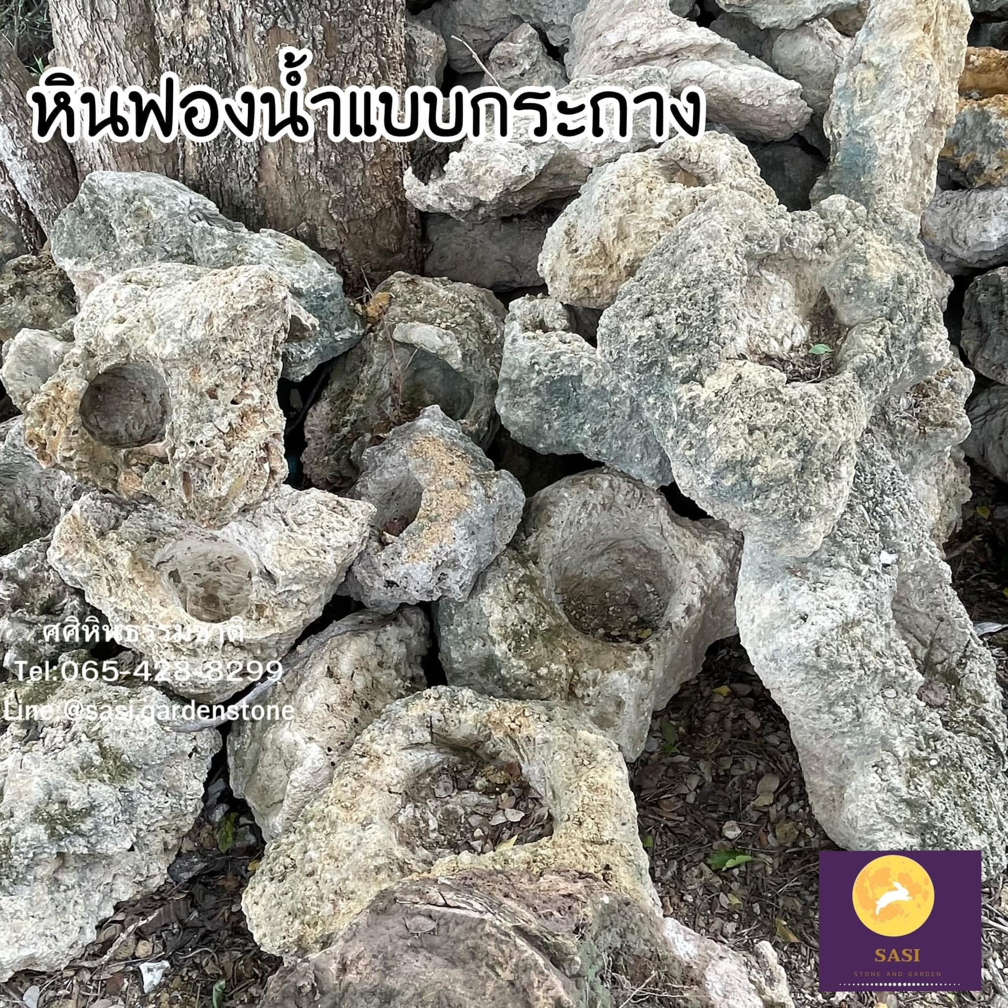 หินฟองน้ำกระถาง