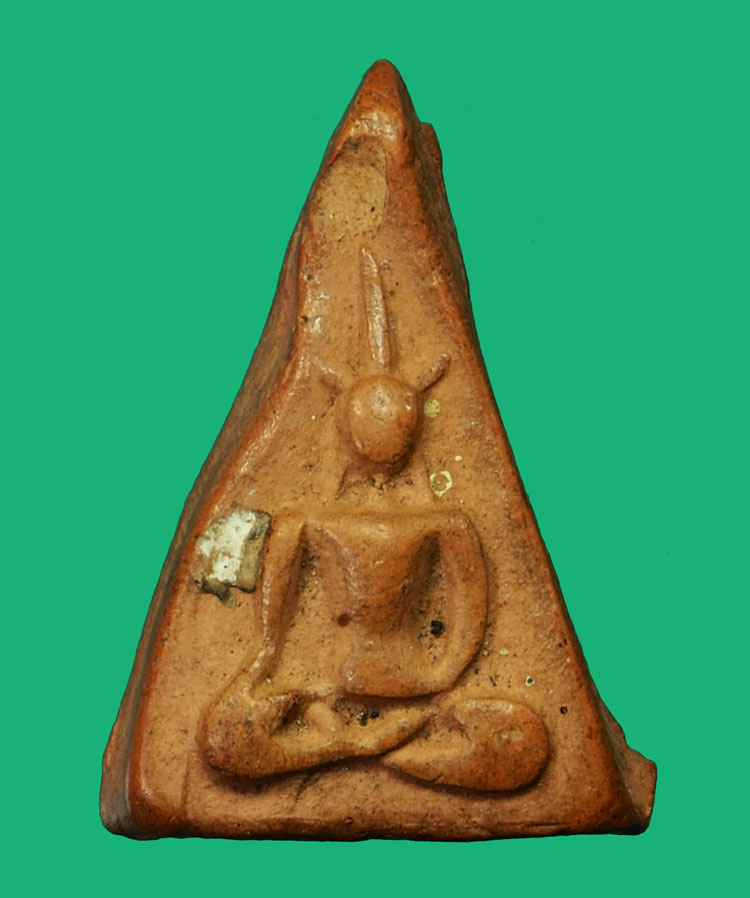 คิวจอง*35070 นางพญาหูบายศรี กรุบึงสามพัน อุตรดิตถ์ เนื้อดิน 13