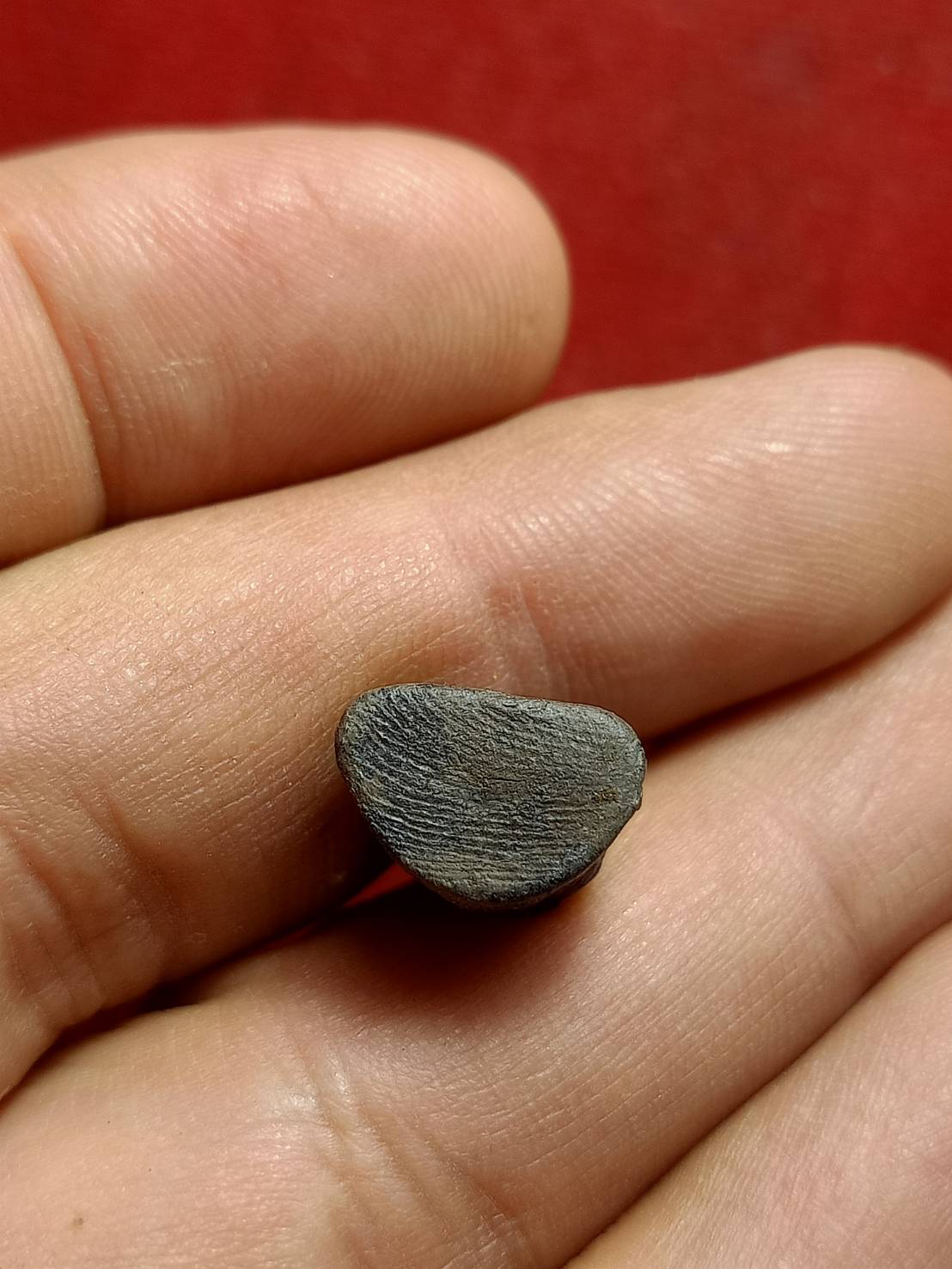 รูปเหมือนลอยองค์ เนื้อว่าน หลวงพ่อทวด พิมพ์เล็ก วัดสะบ้าย้อย จ.สงขลา (SKU-12590)