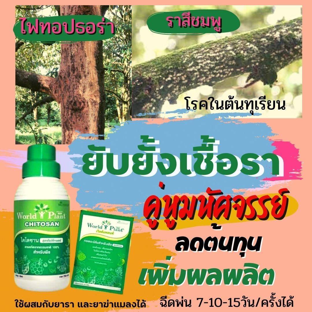 ยับยั้งเชื้อราใช้ worldplant