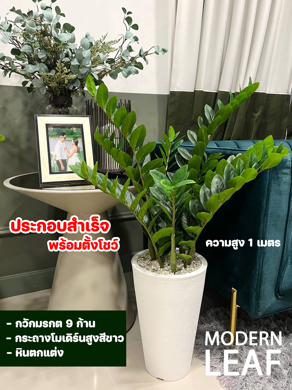 ต้นกวักมรกตปลอม ขนาดความสูง 1 เมตร