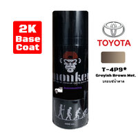 T-4P9*(Greyish Brown Met.)