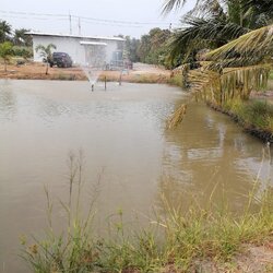 ขายที่ดินฉะเชิงเทรา 1 ไร่ 3 งาน | ติดถนน 60 ม. น้ำไม่ท่วม วิวสวย เจ้าของขายเอง