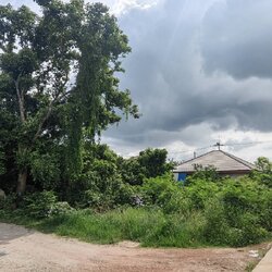 ขายที่ดิน 51 ตร.วา แปลงยาว ฉะเชิงเทรา | ใกล้ตลาดบางบ่อ–เซเว่นเกาะบรเพชร | เจ้าของขายเอง