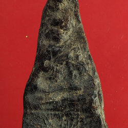 ขายแล้ว*28129 พระว่านจำปาศักดิ์ ขนาดหน้าตัก 1 นิ้ว สูงประมาณ 2.8 นิ้ว 13