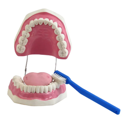 ชุดสุขอนามัยฟัน