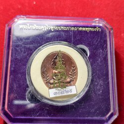 เหรียญพระไภษัชยคุรุไวฑูรยประภาตถาคตพุทธเจ้า สภากาชาดไทย ปี 2565 พร้อมกล่อง (SKU-13604)