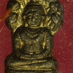 *27679 ปรกใบมะขาม รูปถ่าย หนังสือหลวงพ่อสาคร วัดหนองกรับ ระยอง 67