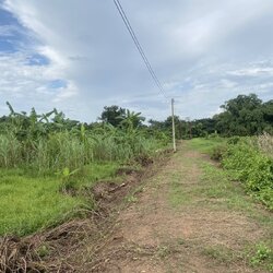 ขายที่ดินติดคลอง ราชสาส์น 3 ไร่ 1 งาน 40 ตรว. | เจ้าของขายเอง | ทำบ้านสวน ที่ดินฉะเชิงเทรา