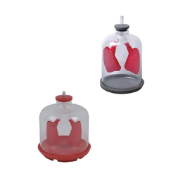 แบบจำลองการทำงานของปอด