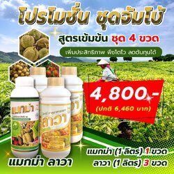 ชุดจัมโบ้ 4ขวด ขนาด1ลิตร (แมกม่า1ลาวา3)