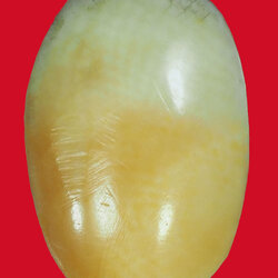 *33872 เม็ดงาเก่า เหมาะสำหรับใช้ทำหัวเเหวน 17