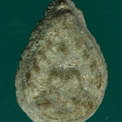 *28339 พระกลีบบัว พระครูใบฏีกาเกลี้ยง วัดสุทัศน์ กรุงเทพ เนื้อผงผสมว่าน(มีตัวอย่างบัตรรับรองจากเวปพระที่เชื่อถือได้) 9